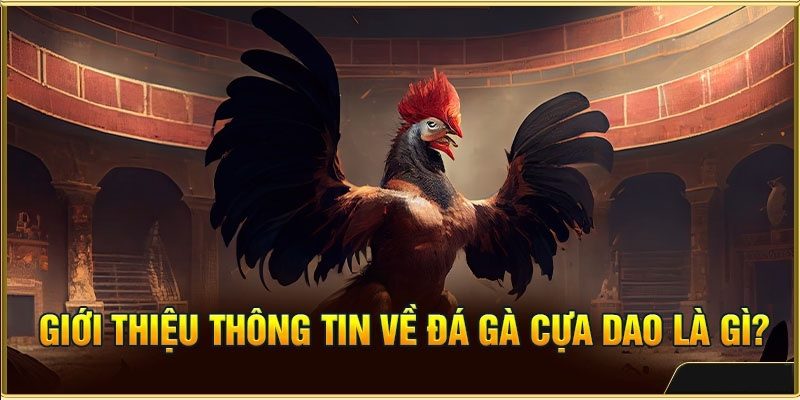 Giới thiệu hình thức chọi gà cựa dao