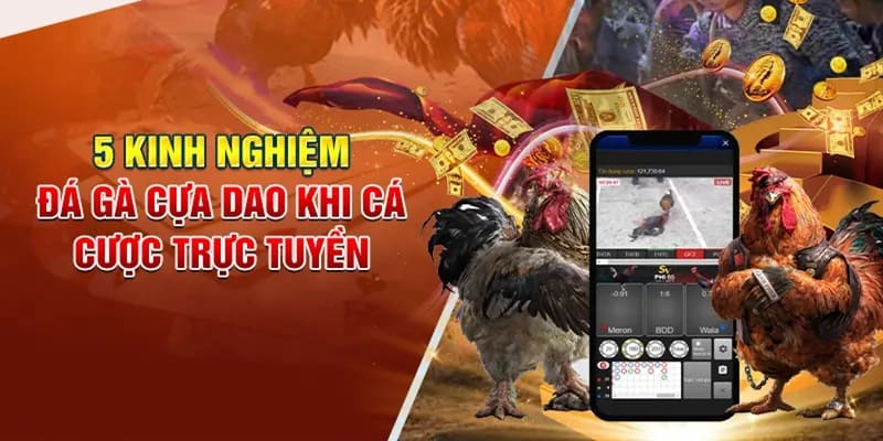 Kinh nghiệm cá cược luôn dành chiến thắng