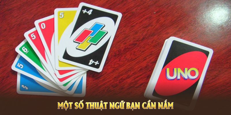 mot-so-thuat-ngu-ban-can-nam